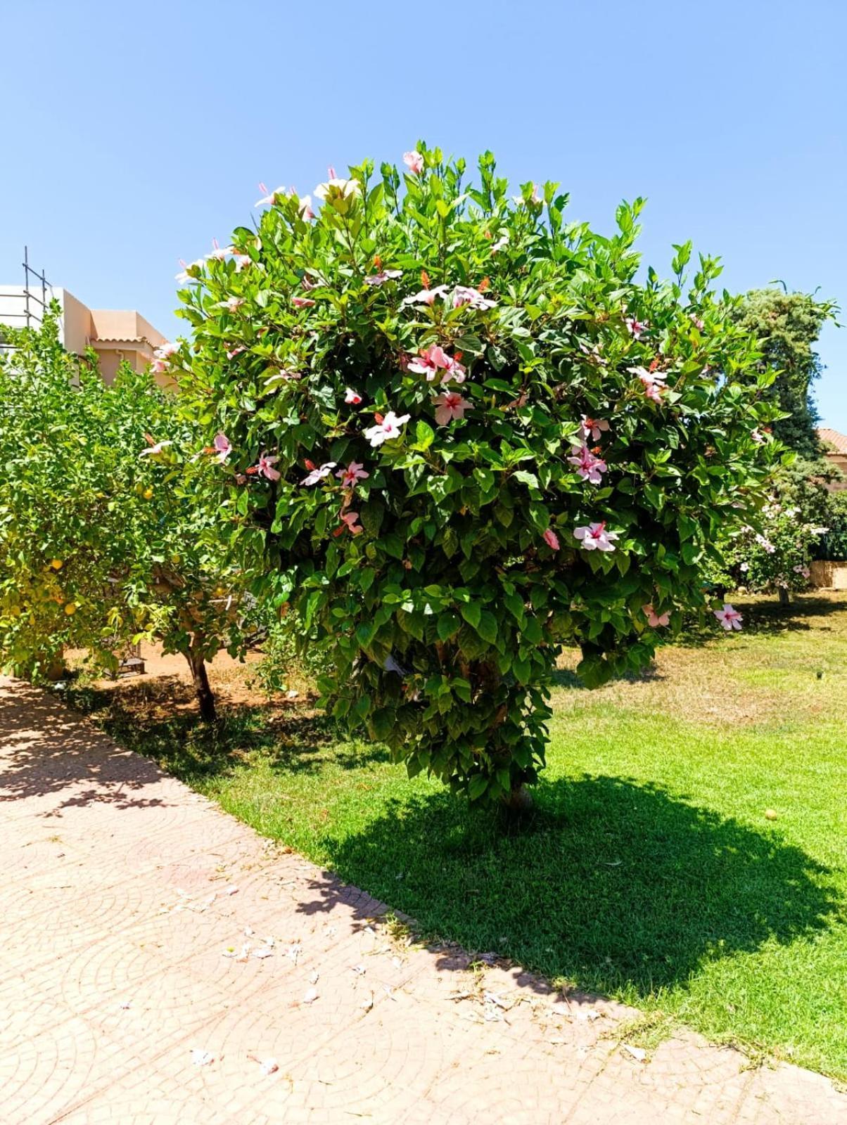 Casa In Giardino A Pochi Passi Dal Mare Holiday home Palermo