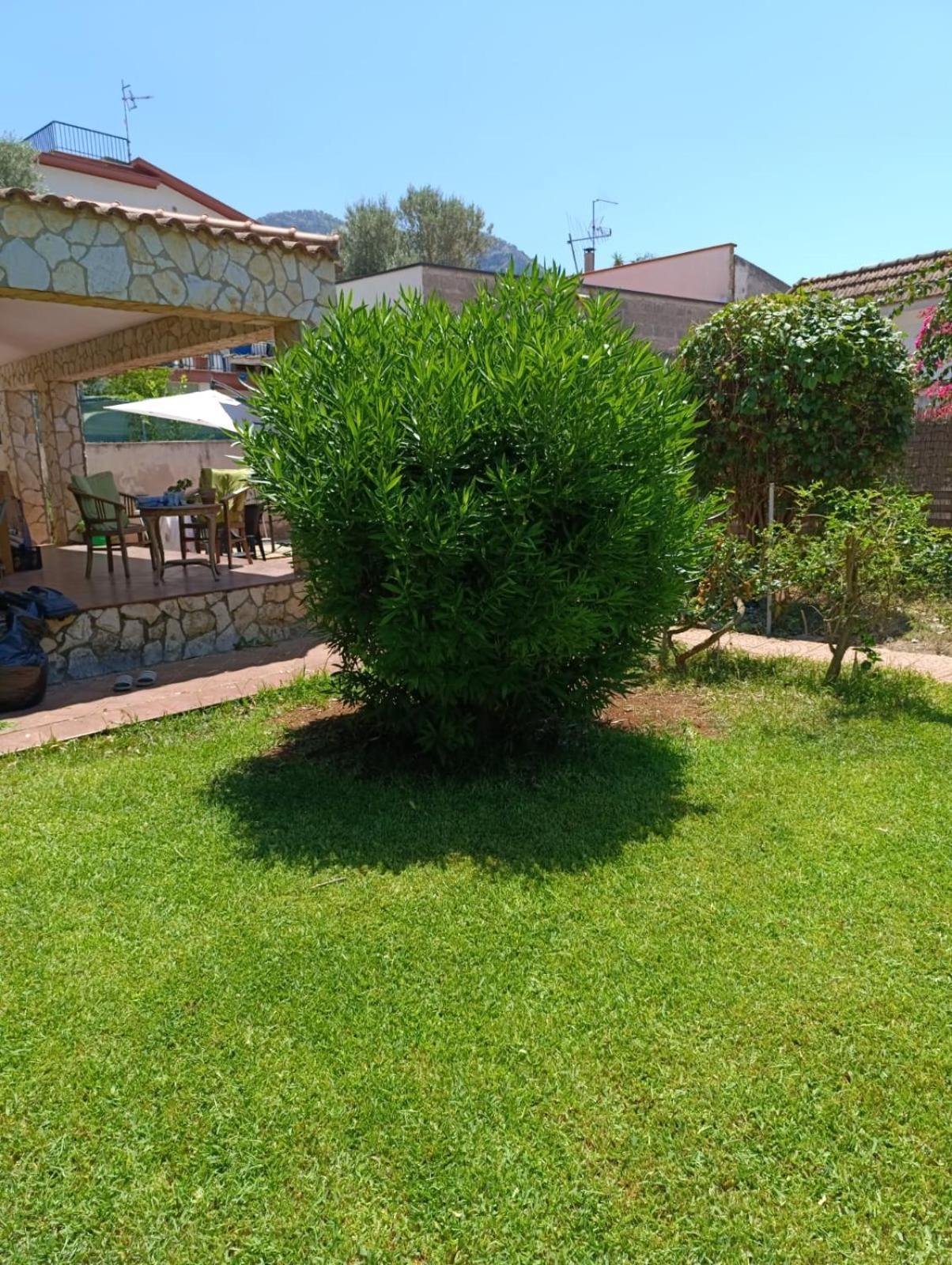 Casa In Giardino A Pochi Passi Dal Mare * Palermo